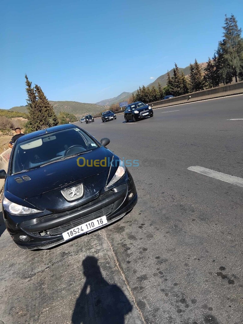 Peugeot 206 Plus 2010 206 Plus