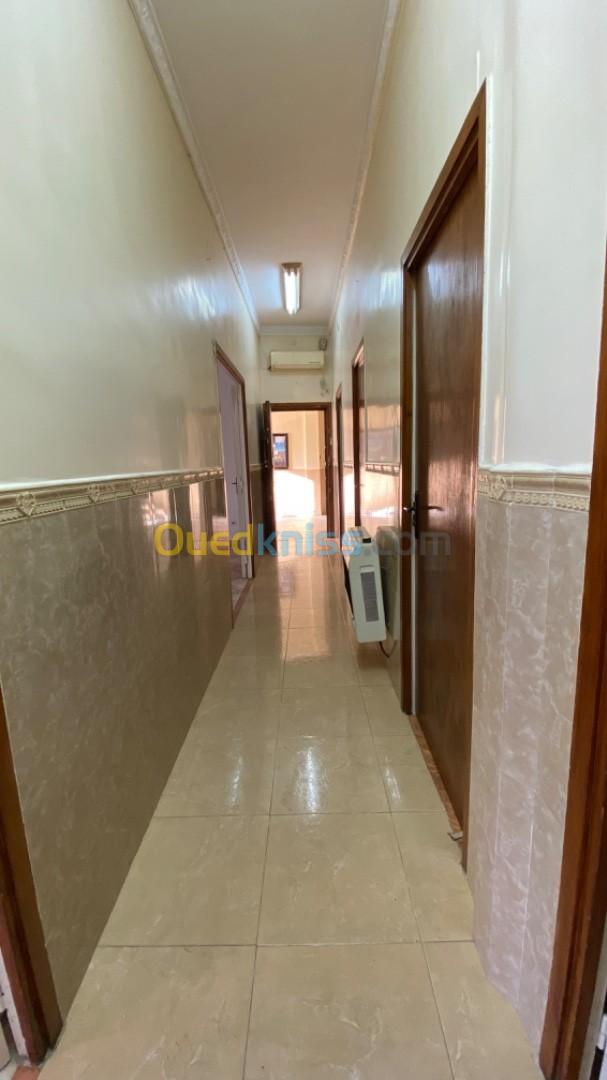 Location Appartement F3 Alger Alger centre