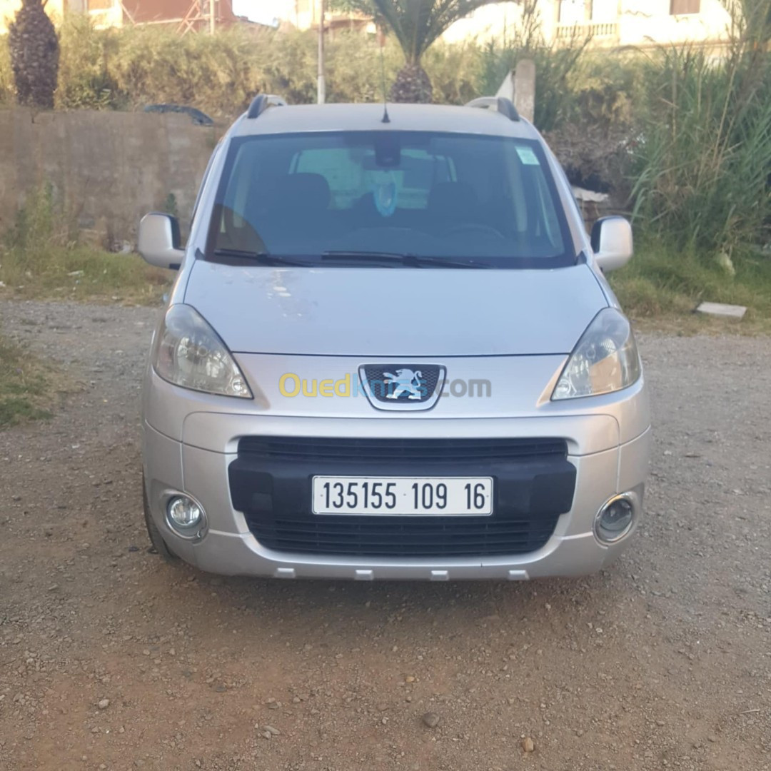 Peugeot Partner 2009 Tepee