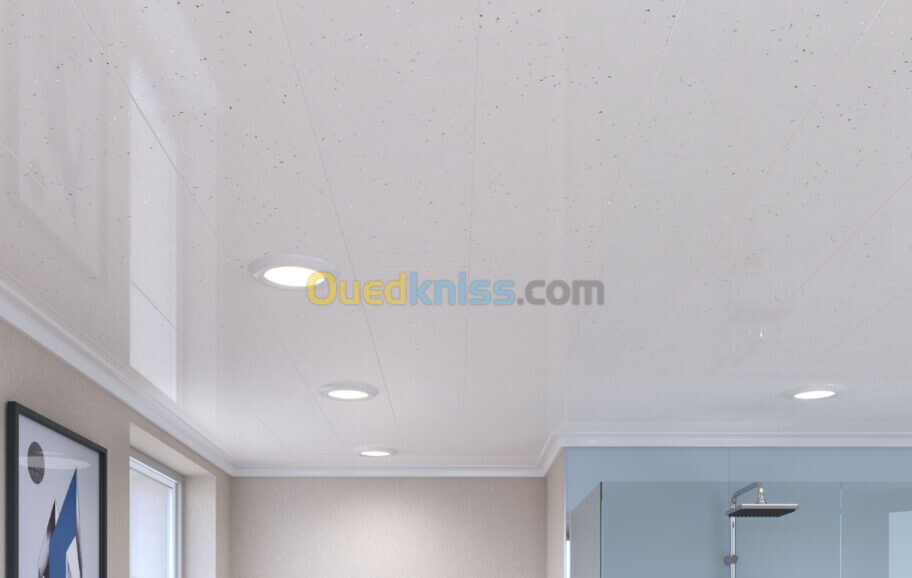 faux plafond pvc & placo 