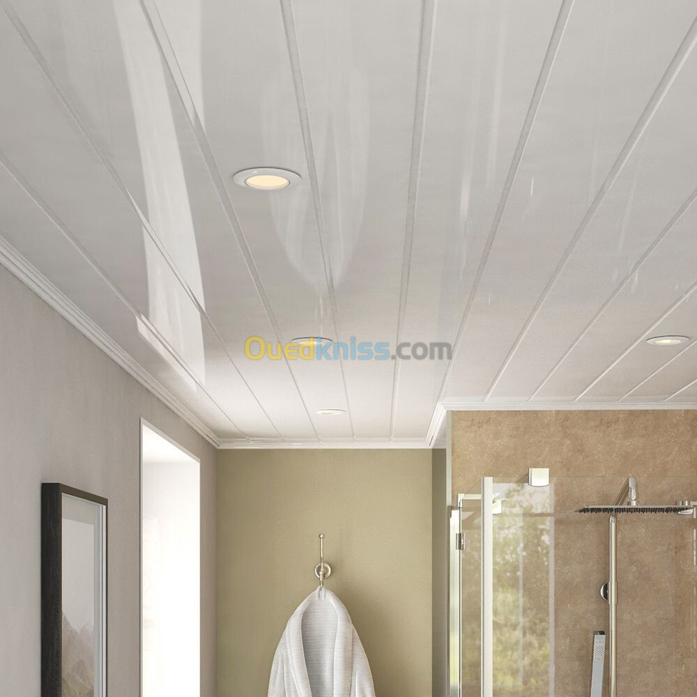 faux plafond pvc & placo 