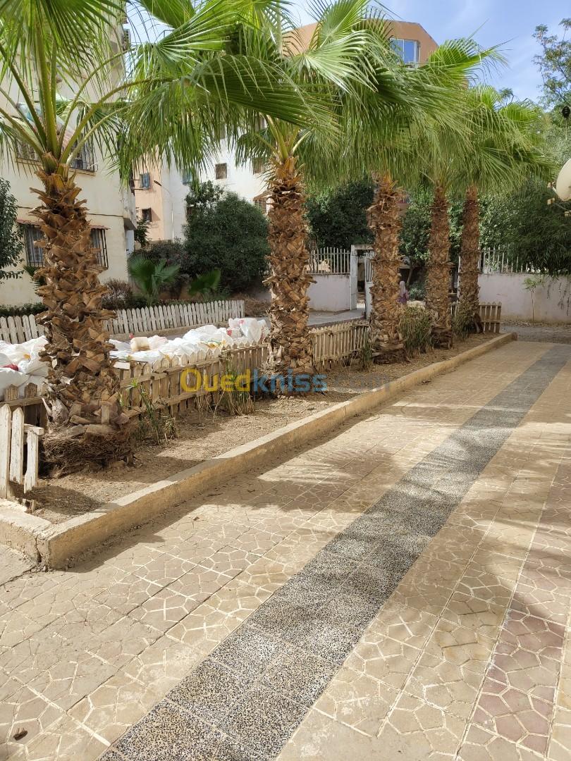 Vente Appartement F5 Blida Mouzaia