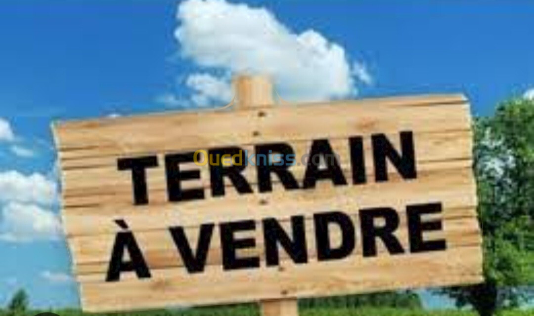 Vente Terrain Oran Oran