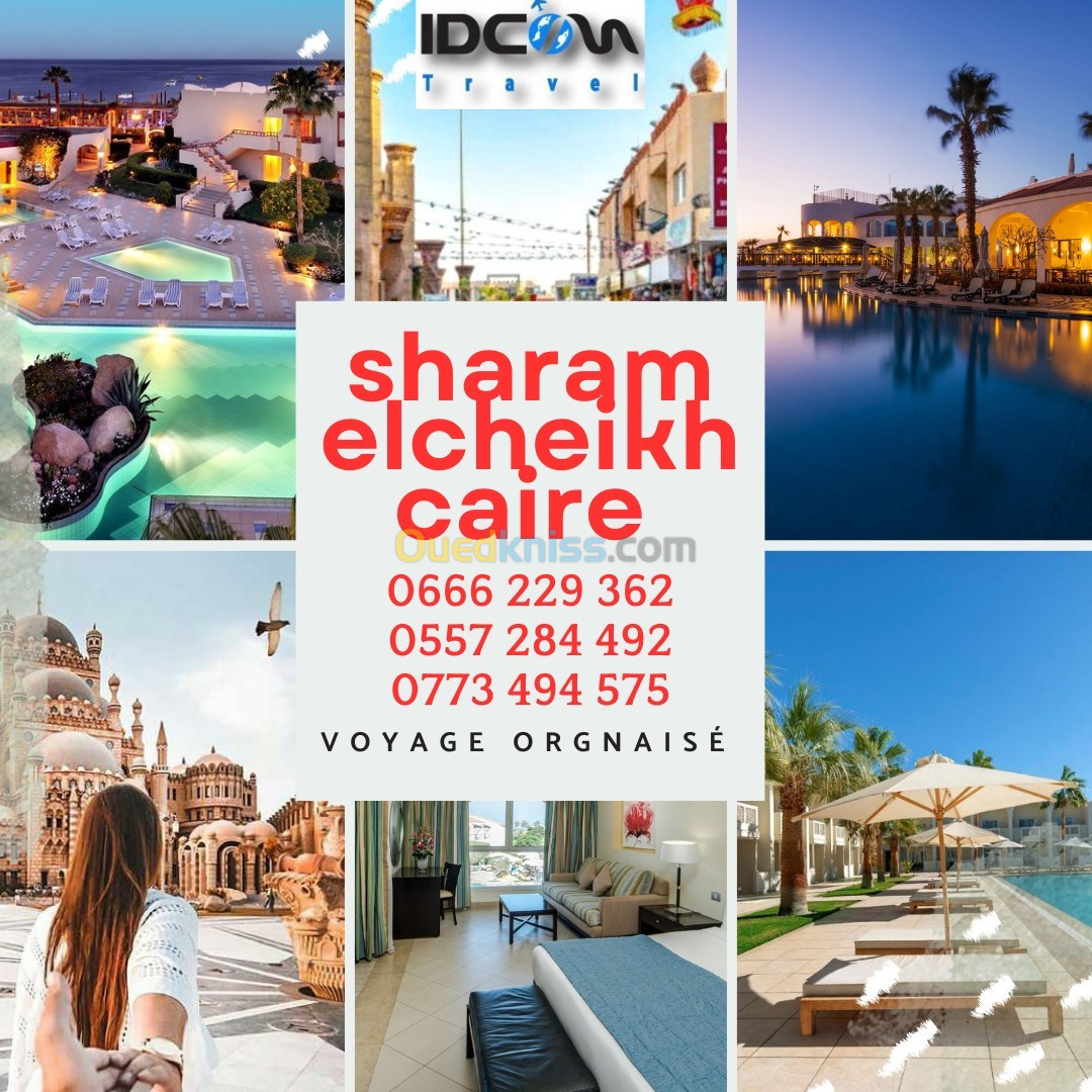 voyage organisé sharam el sheikh caire 