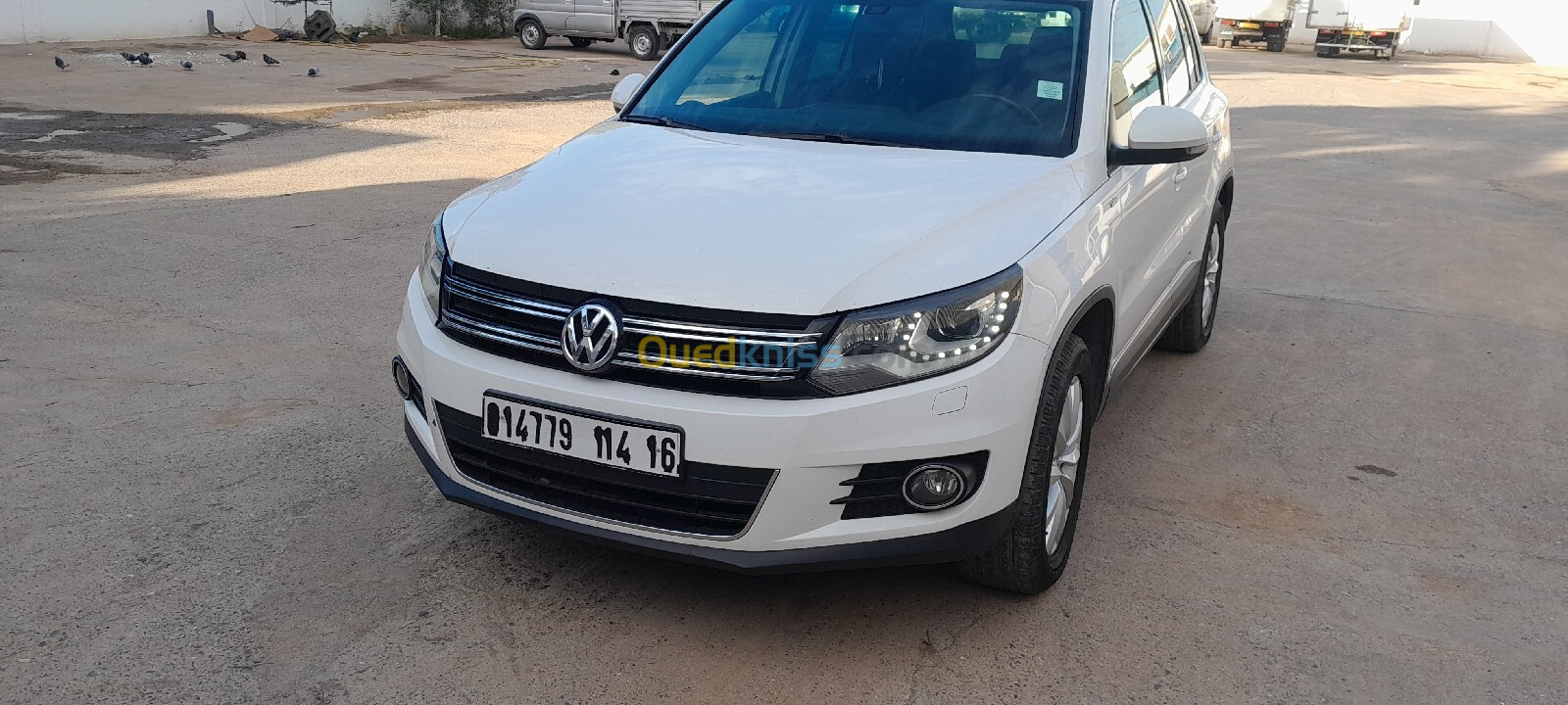 Volkswagen Tiguan 2014 Life