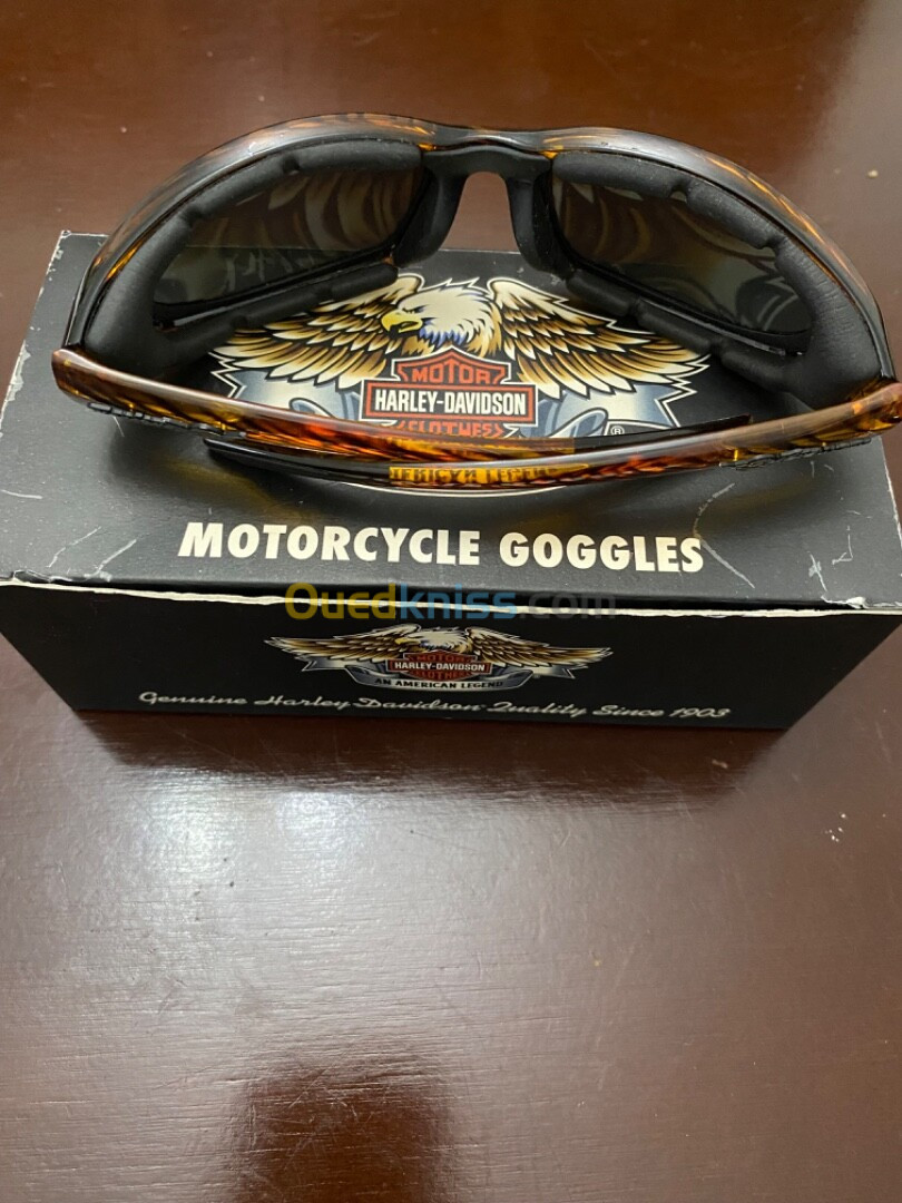 Lunette harley davidson