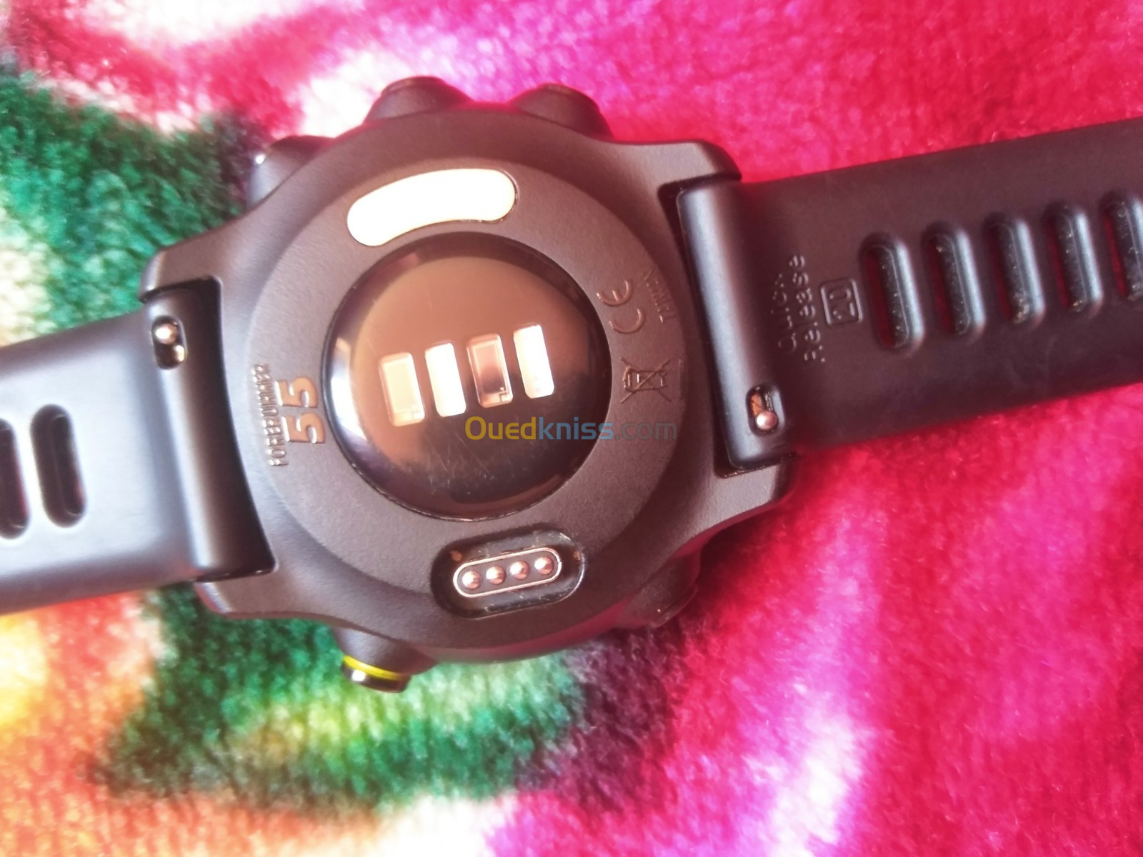 Garmin forerunner 55