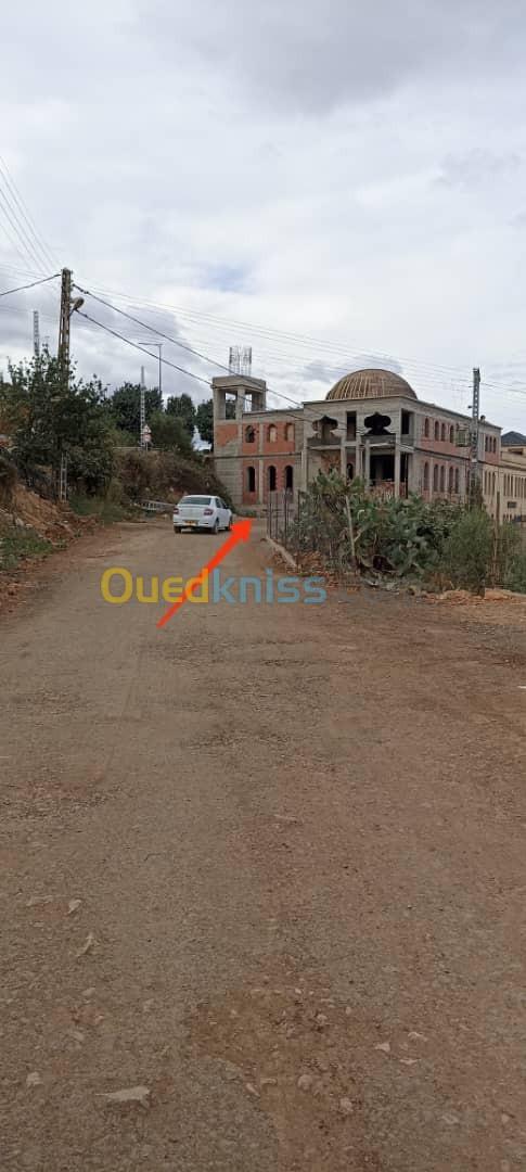 Vente Terrain Blida Meftah