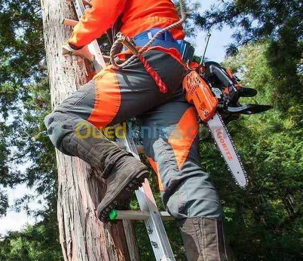 Abattage et Taille des arbres 