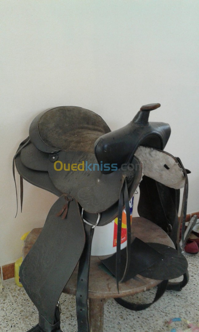 selle de cheval type western