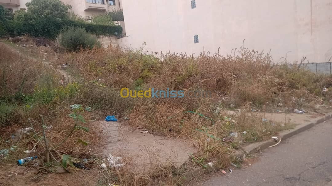 Vente Terrain Alger Souidania