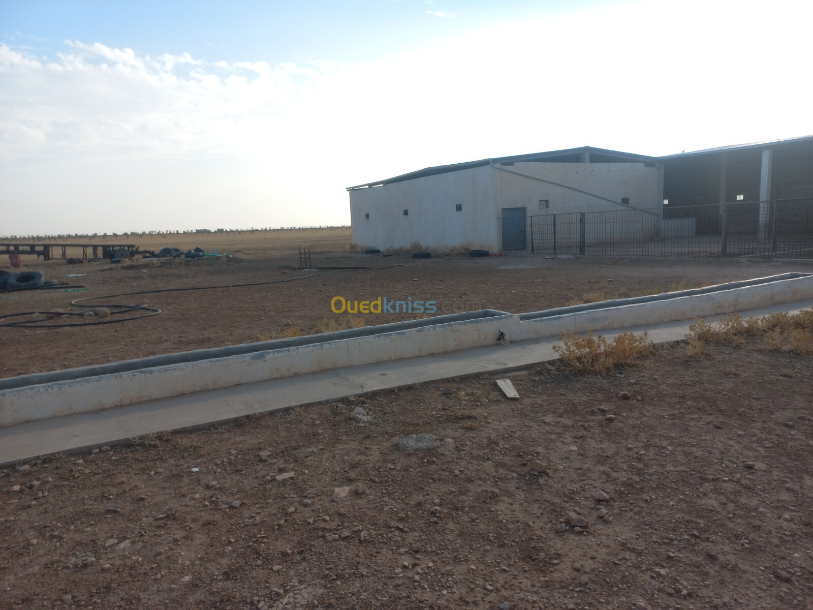 Vente Terrain Agricole Oum El Bouaghi Berriche