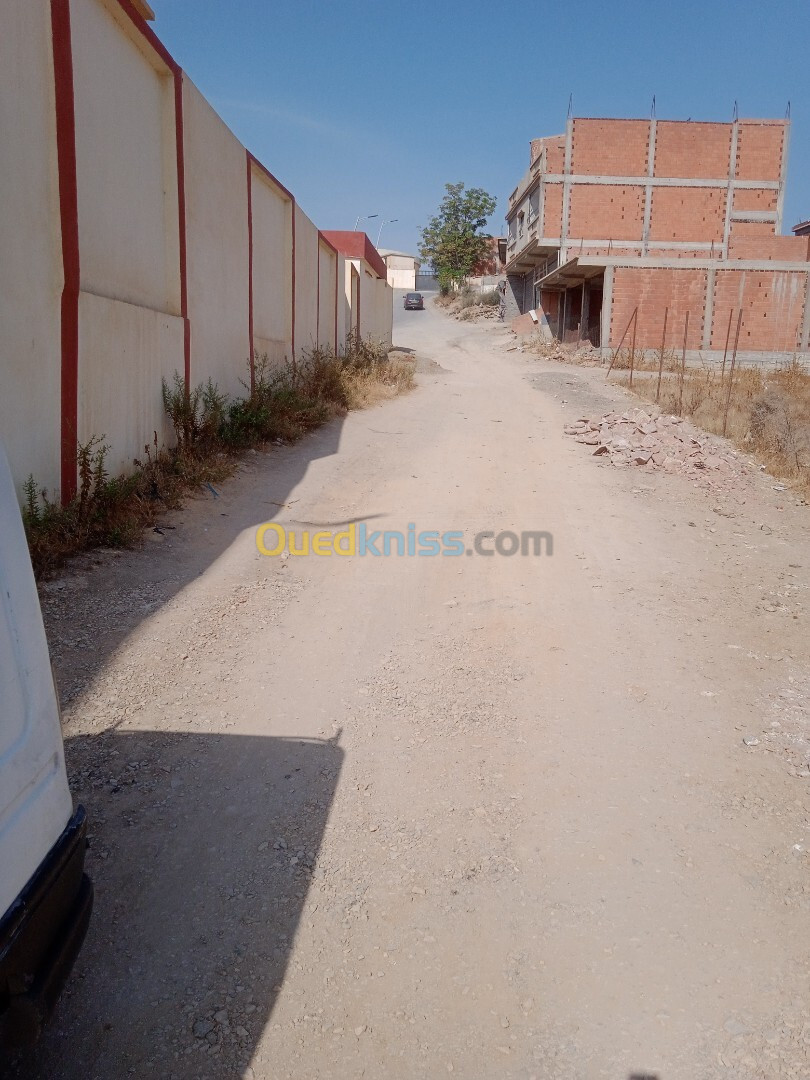 Vente Terrain Blida El affroun