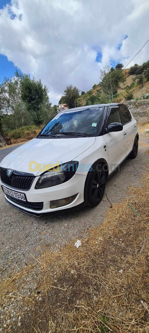 Skoda Fabia 2013 Fresh