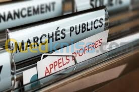 Consultant passations des marches publics 