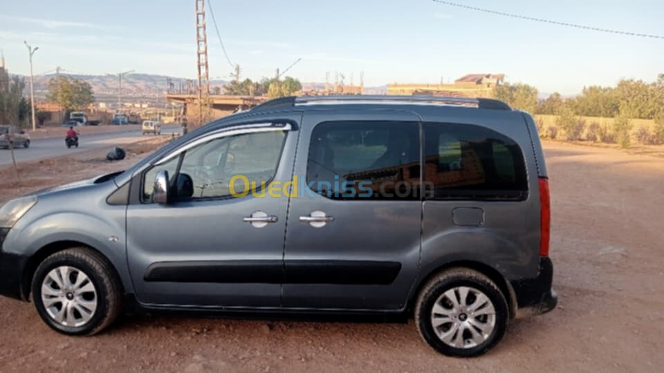 Citroen Berlingo 2010 Berlingo