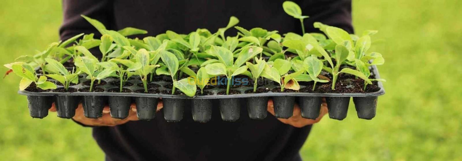 Ligne de production des alvéoles agricoles entièrement automatique 