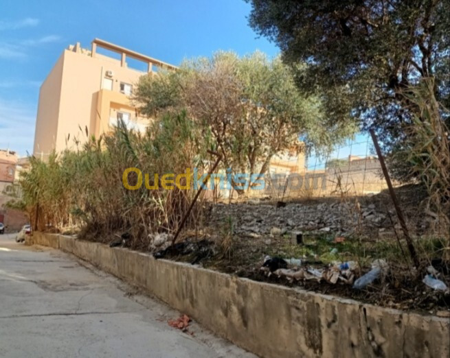 Vente Terrain Alger Cheraga