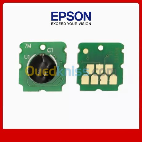 Puce Epson De Boîte De Maintenance C9345 C9344