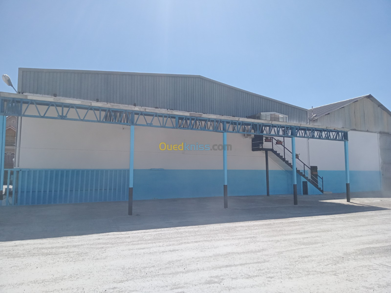 Location Hangar Setif Mezloug