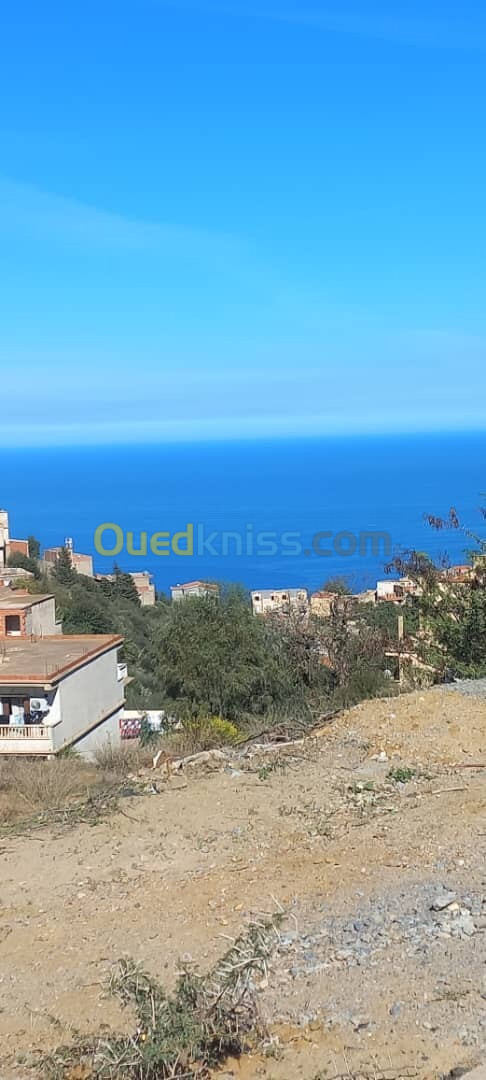 Vente Terrain Alger Bouzareah