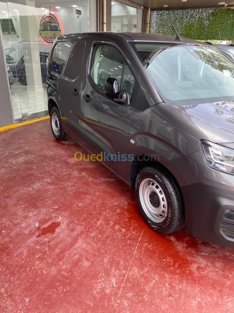 Fiat Doblo 2024 Professional