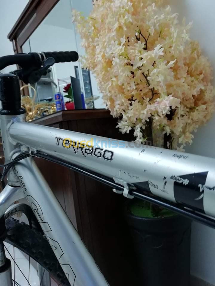 Velo giant terrago aluxx 6000 Alger Algeria