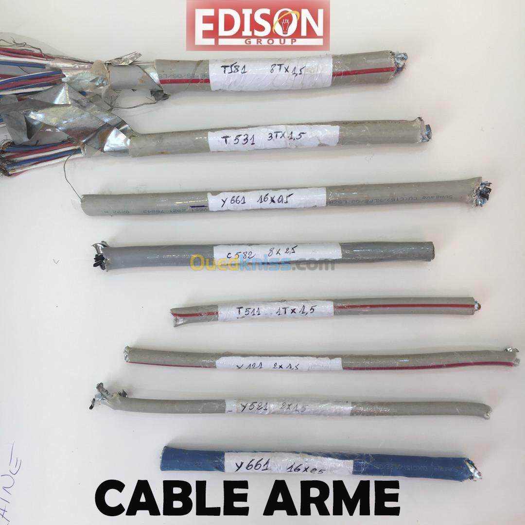 CABLE ARME 