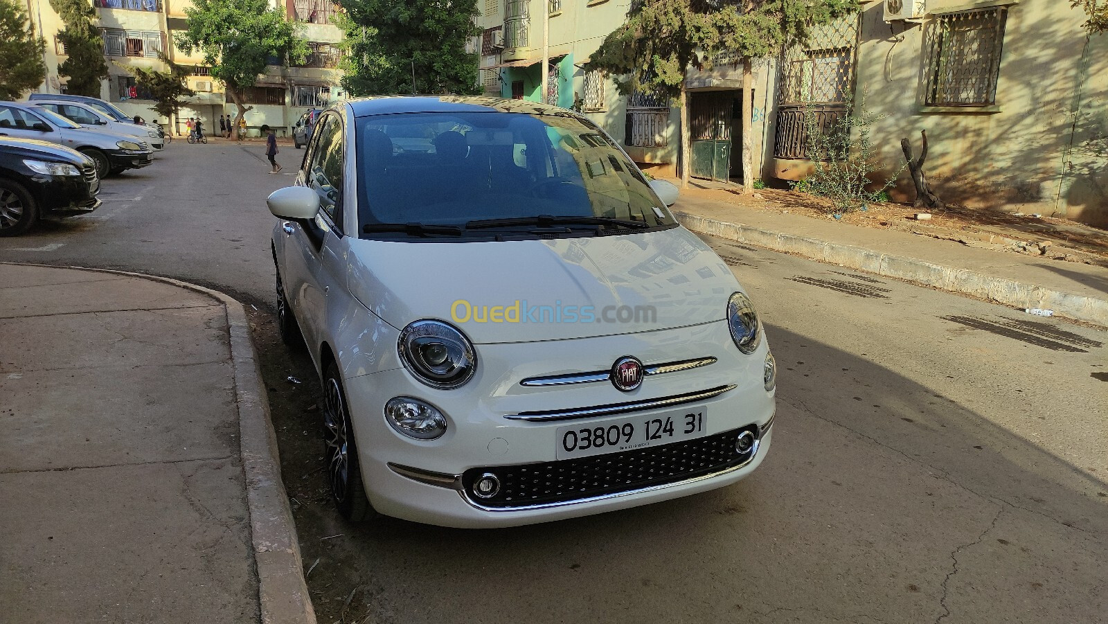 Fiat Fiat 500 2024 