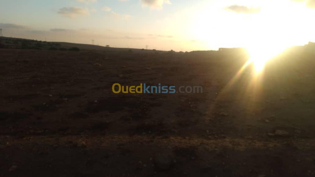 Vente Terrain Oran Arzew