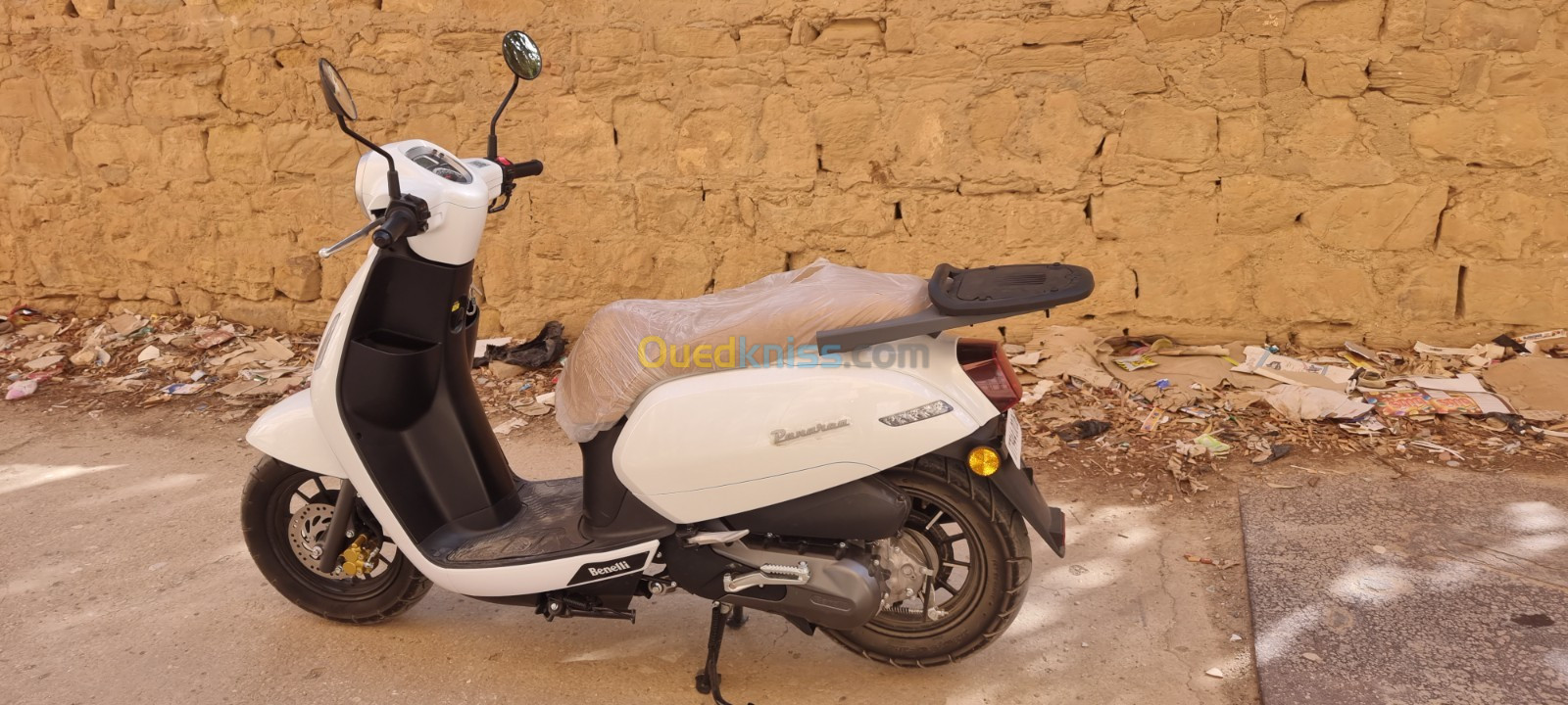 Benelli Panarea 2023