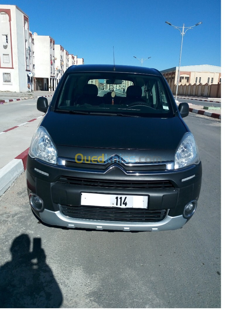 Citroen Berlingo Multispace 2014 