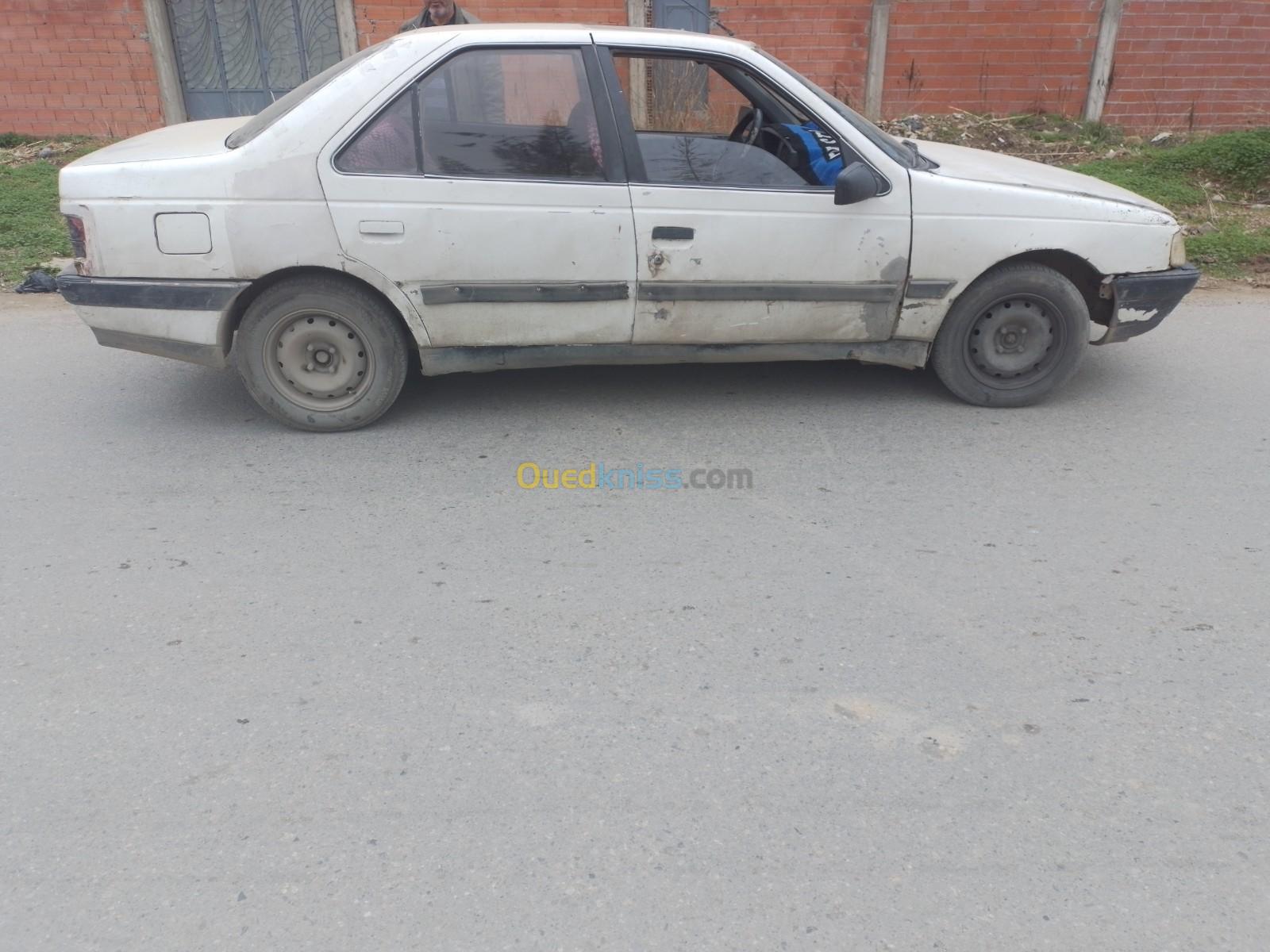 Peugeot 405 1988 