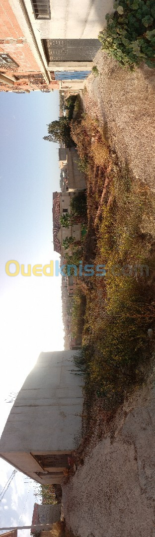 Vente Terrain Boumerdès Ouled moussa