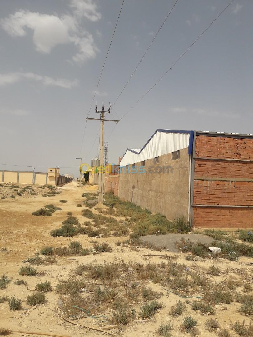 Location Hangar Relizane Belassel bouzegza Relizane Algérie