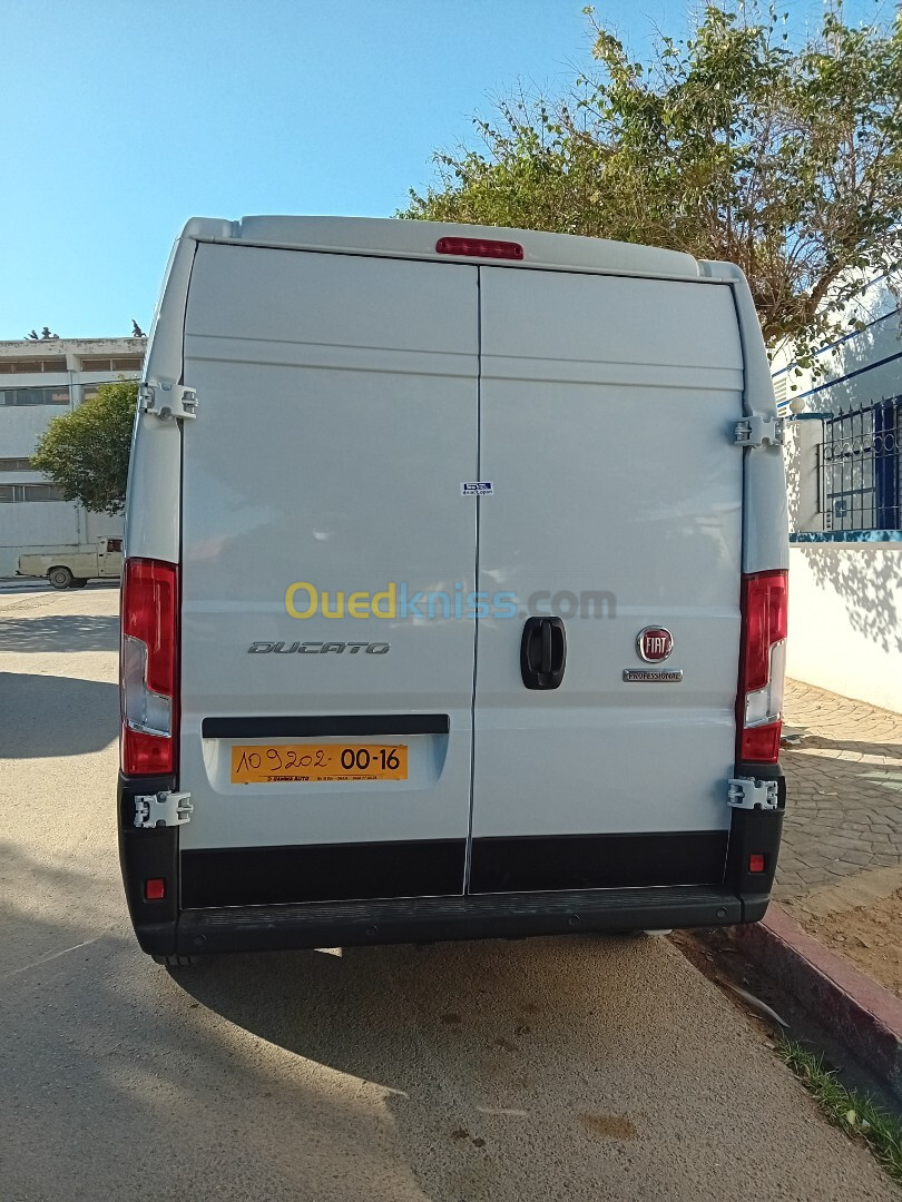 Fiat Ducato double lam 2024