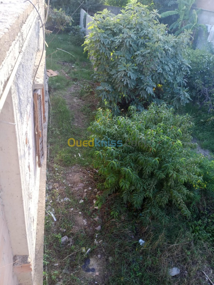 Vente Villa Alger Sidi moussa