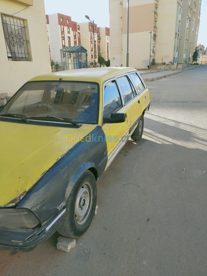 Peugeot 505 1989 