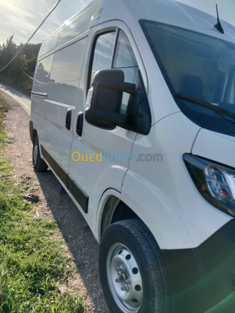 ducato Fiat 2024