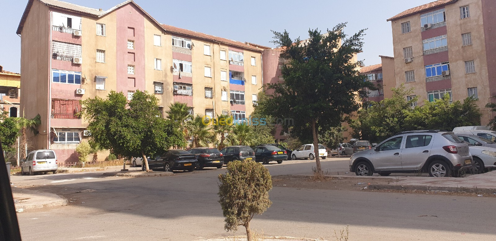 Vente Appartement F3 Blida Chebli