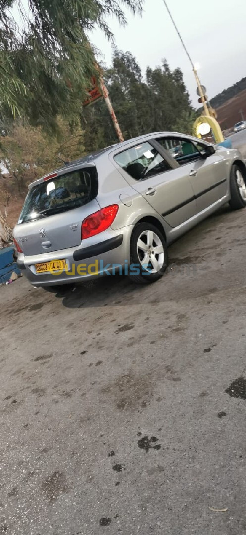 Peugeot 307 2004 XT