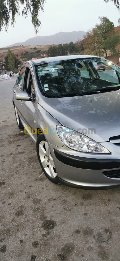 Peugeot 307 2004 XT