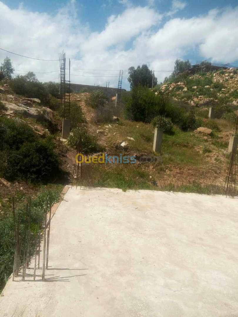 Vente Terrain Skikda Beni Bechir