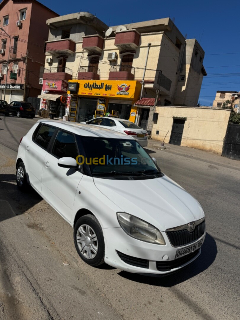 Skoda Fabia 2014 Visage