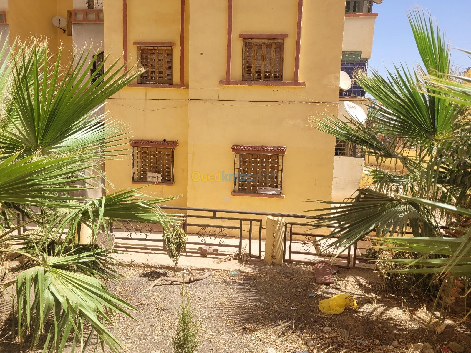 Vente Appartement F3 Tiaret Tiaret