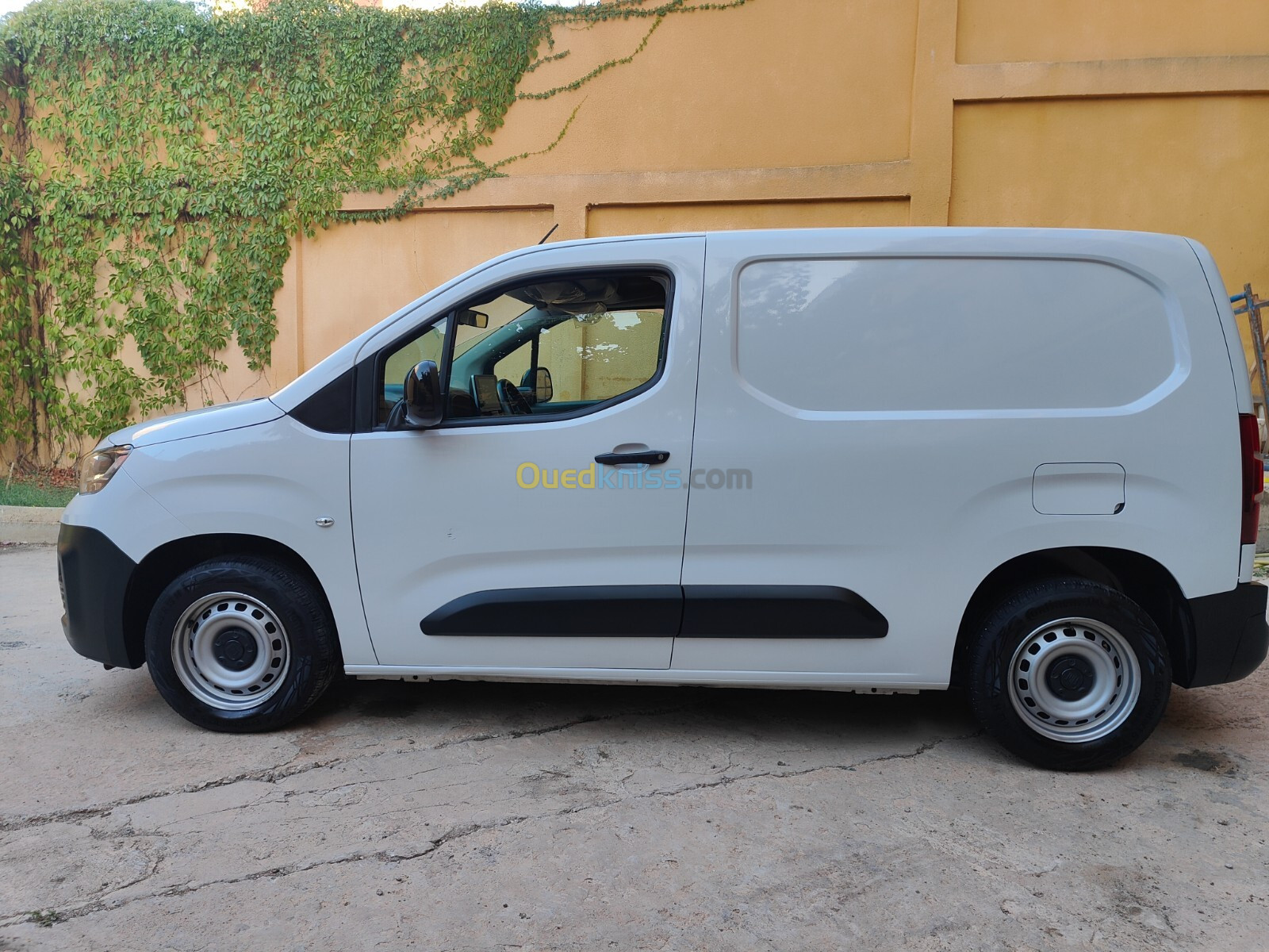 Fiat Doblo 2023 Professional