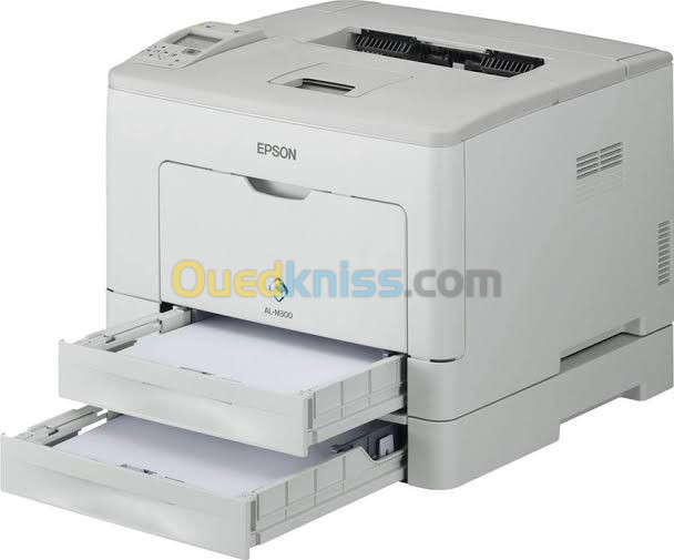 Epson Al m300