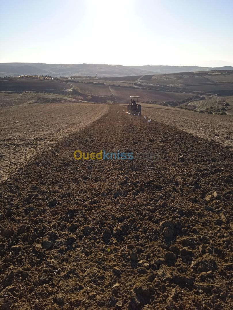 Vente Terrain Oran Ain el kerma