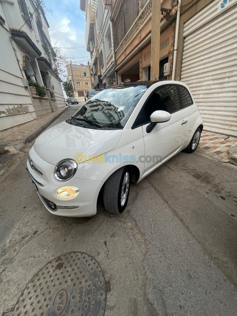 Fiat 500 2023 Club italy