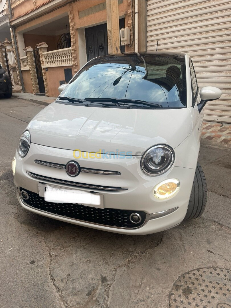 Fiat 500 2023 Club italy